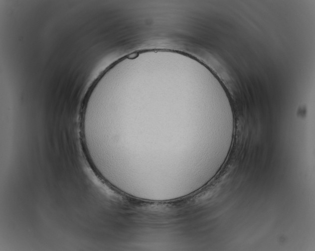 X0000089460998200707131944