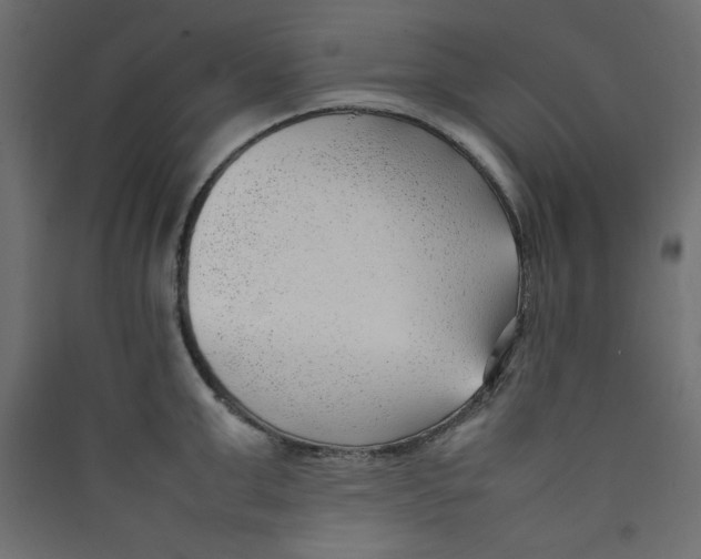 X0000089460999200707131944