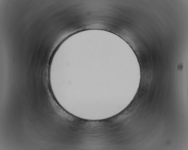 X0000089461000200707131944