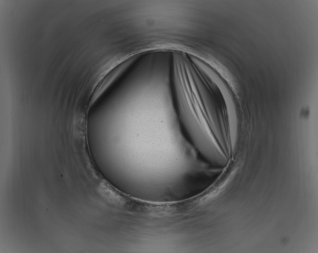 X0000089461001200707131944