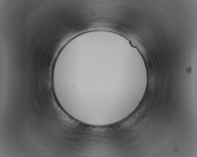 X0000089461004200707131944