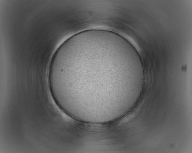 X0000089461007200707131944