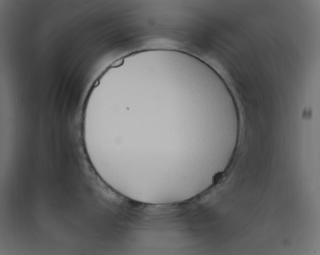 X0000089461008200707131944