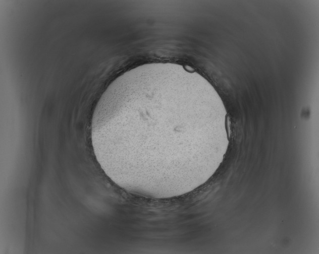 X0000089461009200707131943