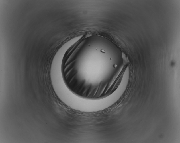 X0000089461010200707131943