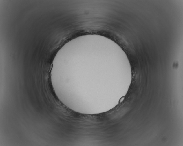 X0000089461012200707131943