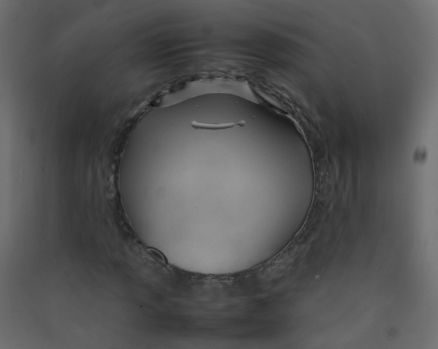 X0000089461013200707131943