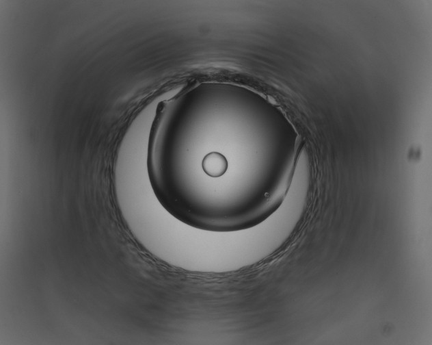 X0000089461014200707131943