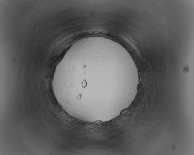 X0000089461015200707131943