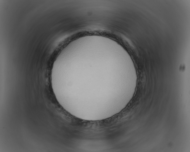 X0000089461016200707131944