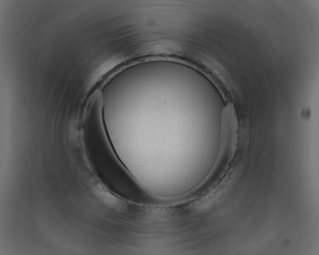 X0000089461018200707131944