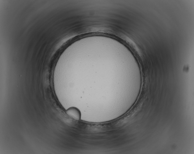 X0000089461019200707131944