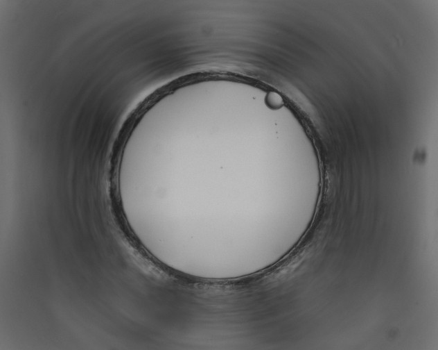 X0000089461020200707131944