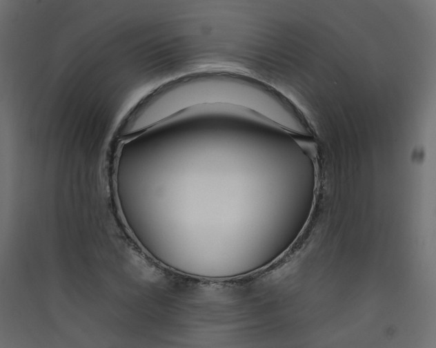 X0000089461022200707131944