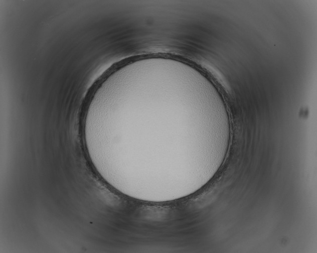 X0000089461023200707131944