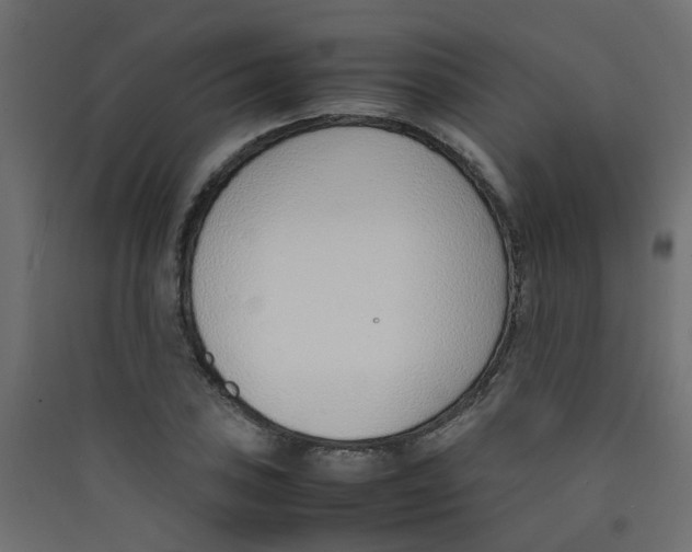 X0000089461027200707131944