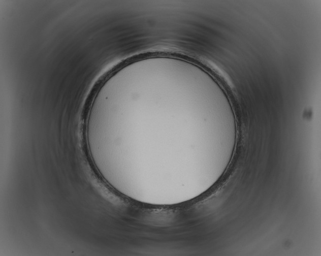 X0000089461029200707131944