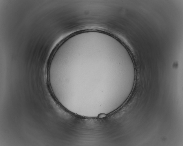 X0000089461032200707131944