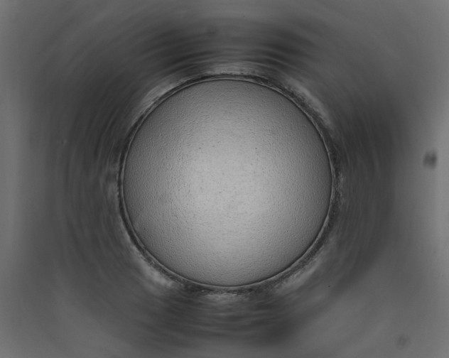 X0000089461033200707131944