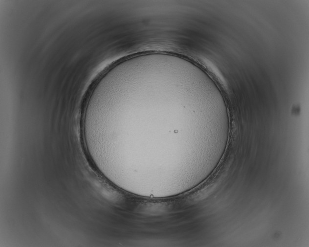 X0000089461035200707131944