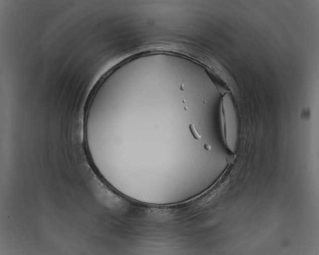 X0000089461036200707131944