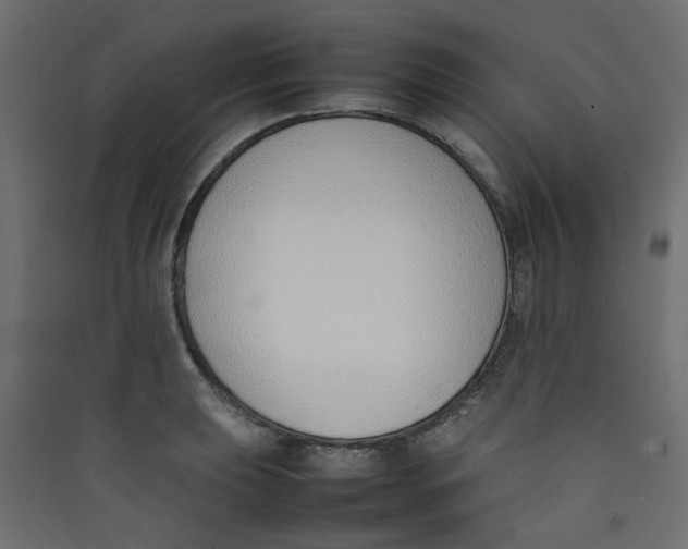 X0000089461039200707131944