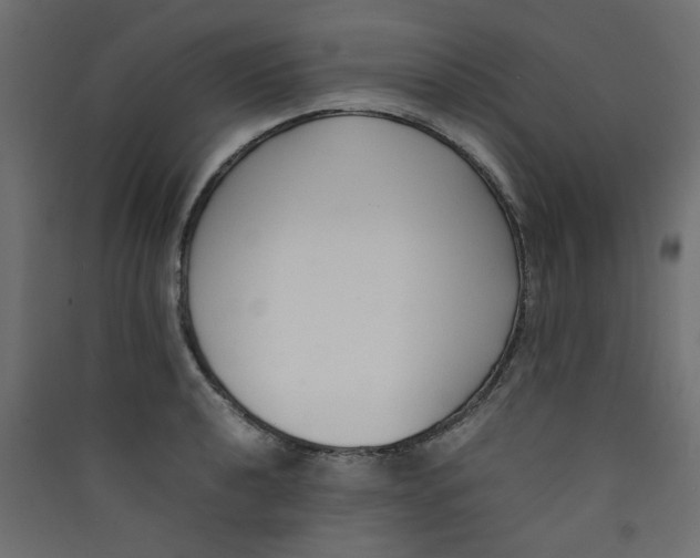 X0000089461040200707131944