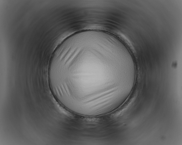 X0000089461041200707131944