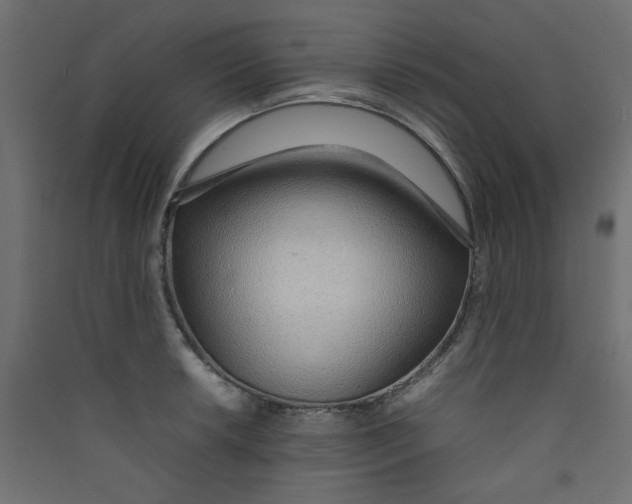 X0000089461042200707131944