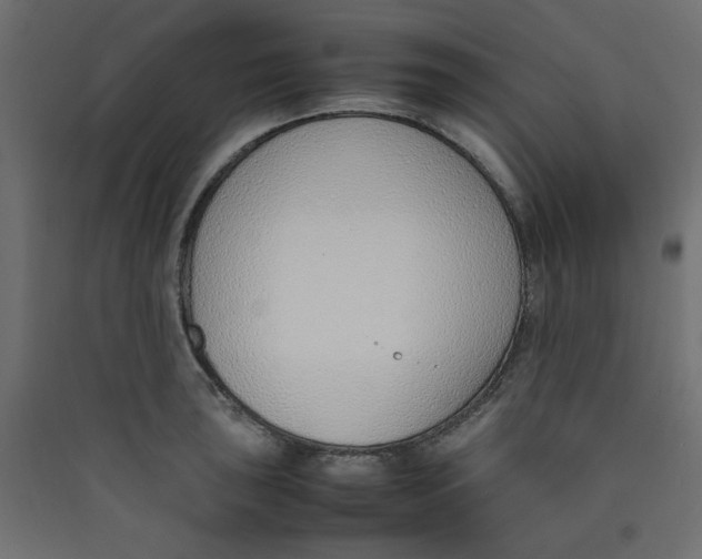 X0000089461043200707131944