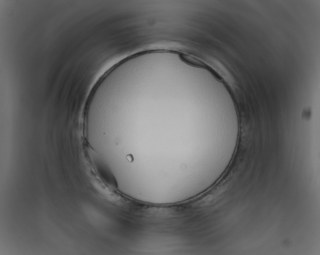 X0000089461044200707131944