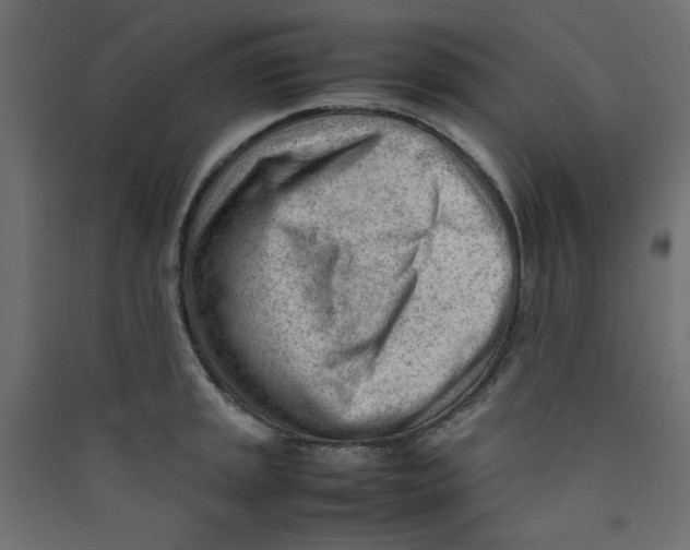 X0000089461045200707131944