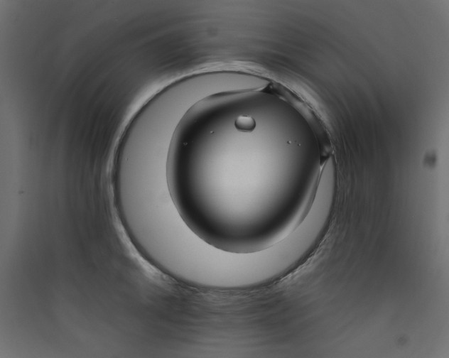 X0000089461046200707131944