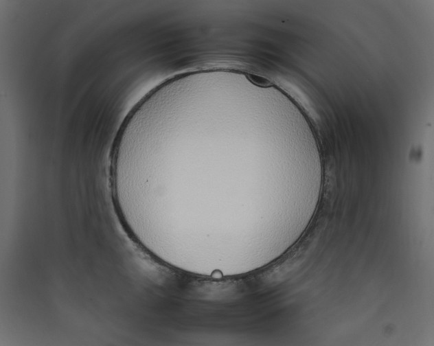 X0000089461047200707131944