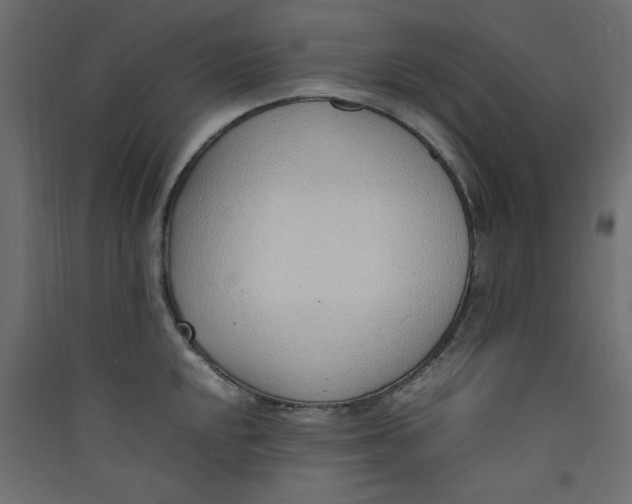 X0000089461048200707131944