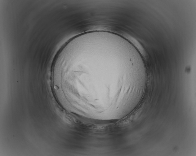 X0000089461051200707131944