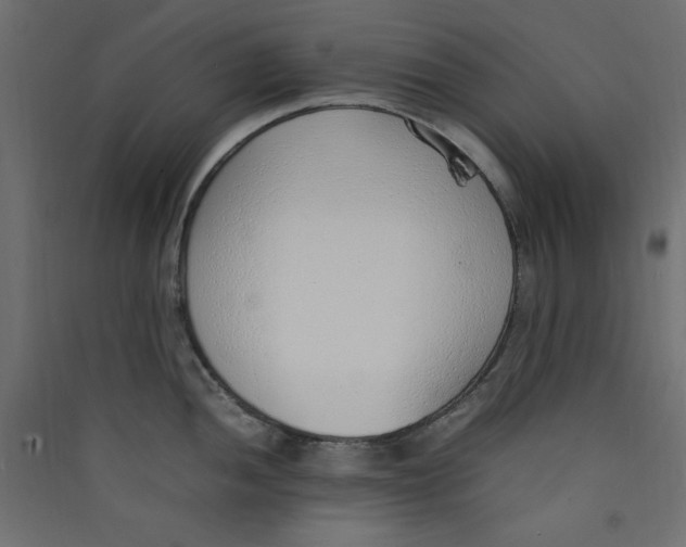 X0000089461052200707131944