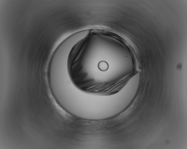 X0000089461054200707131944