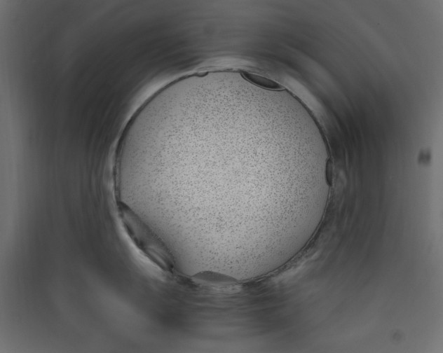 X0000089461055200707131944