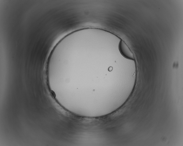 X0000089461056200707131944