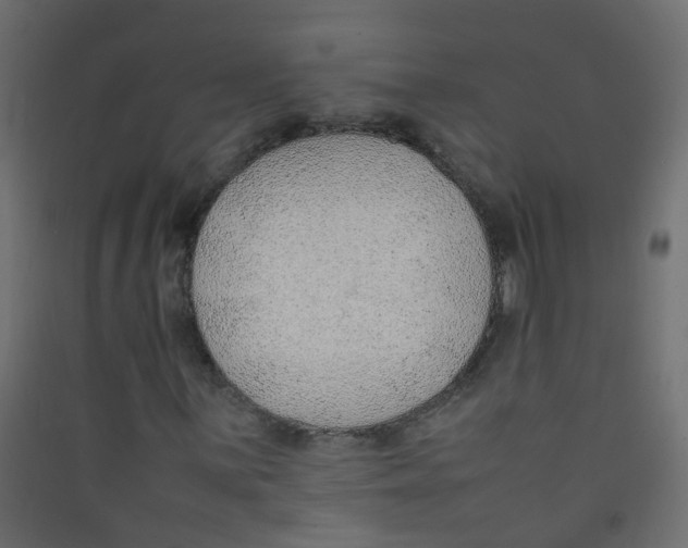 X0000089461059200707131943