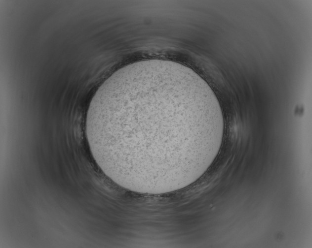 X0000089461060200707131943