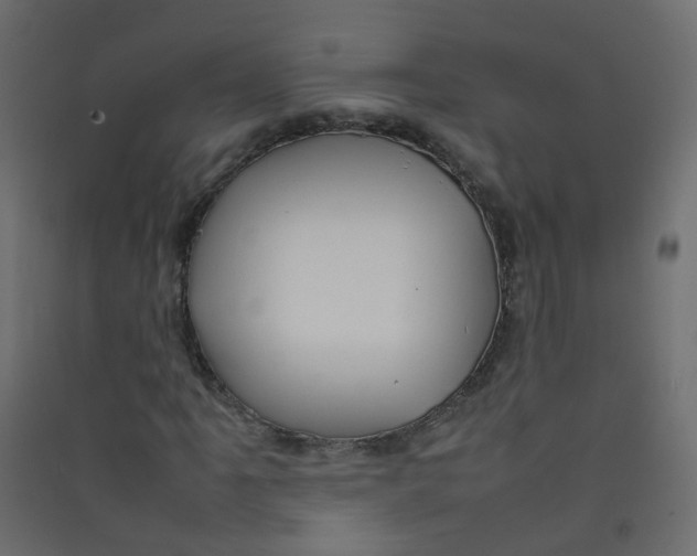 X0000089461061200707131943