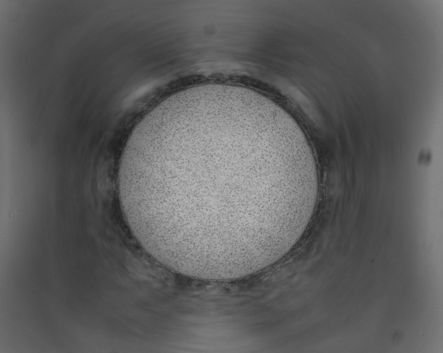 X0000089461063200707131943