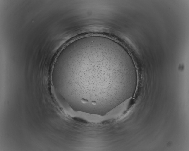 X0000089461065200707131943