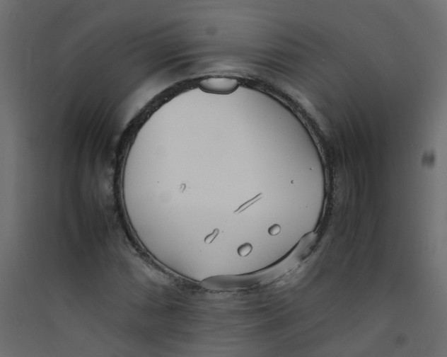 X0000089461066200707131943