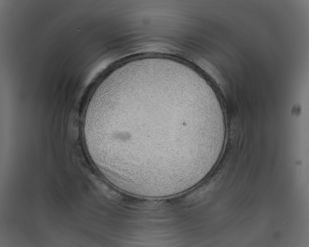 X0000089461067200707131943