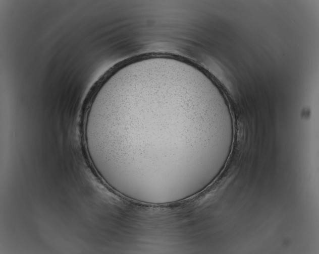 X0000089461068200707131943