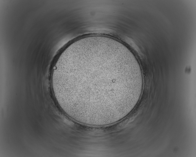 X0000089461071200707131943