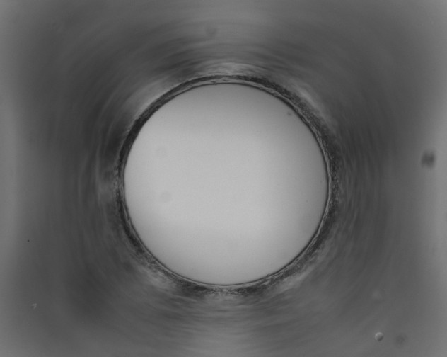 X0000089461073200707131943